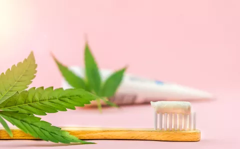Toothbrush and toothpaste with cannabis leaves.